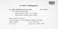 Microbotryum emodensis image